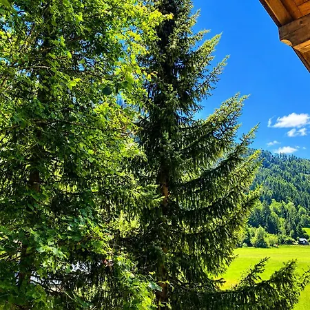 Guest house Landhaus Amadeus 4*