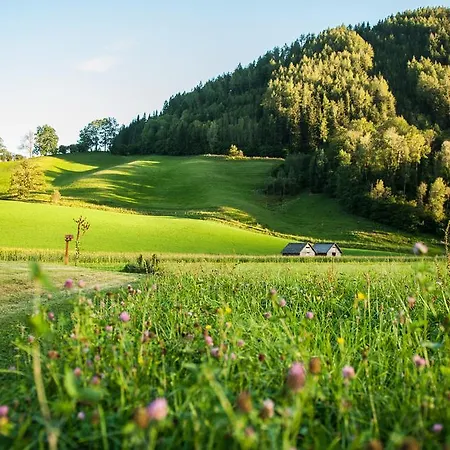 Penzion Amadeus-landhaus Amadeus 3*